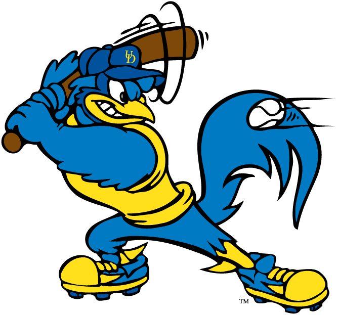 Delaware Blue Hens 1993-Pres Mascot Logo t shirts iron on transfers v8